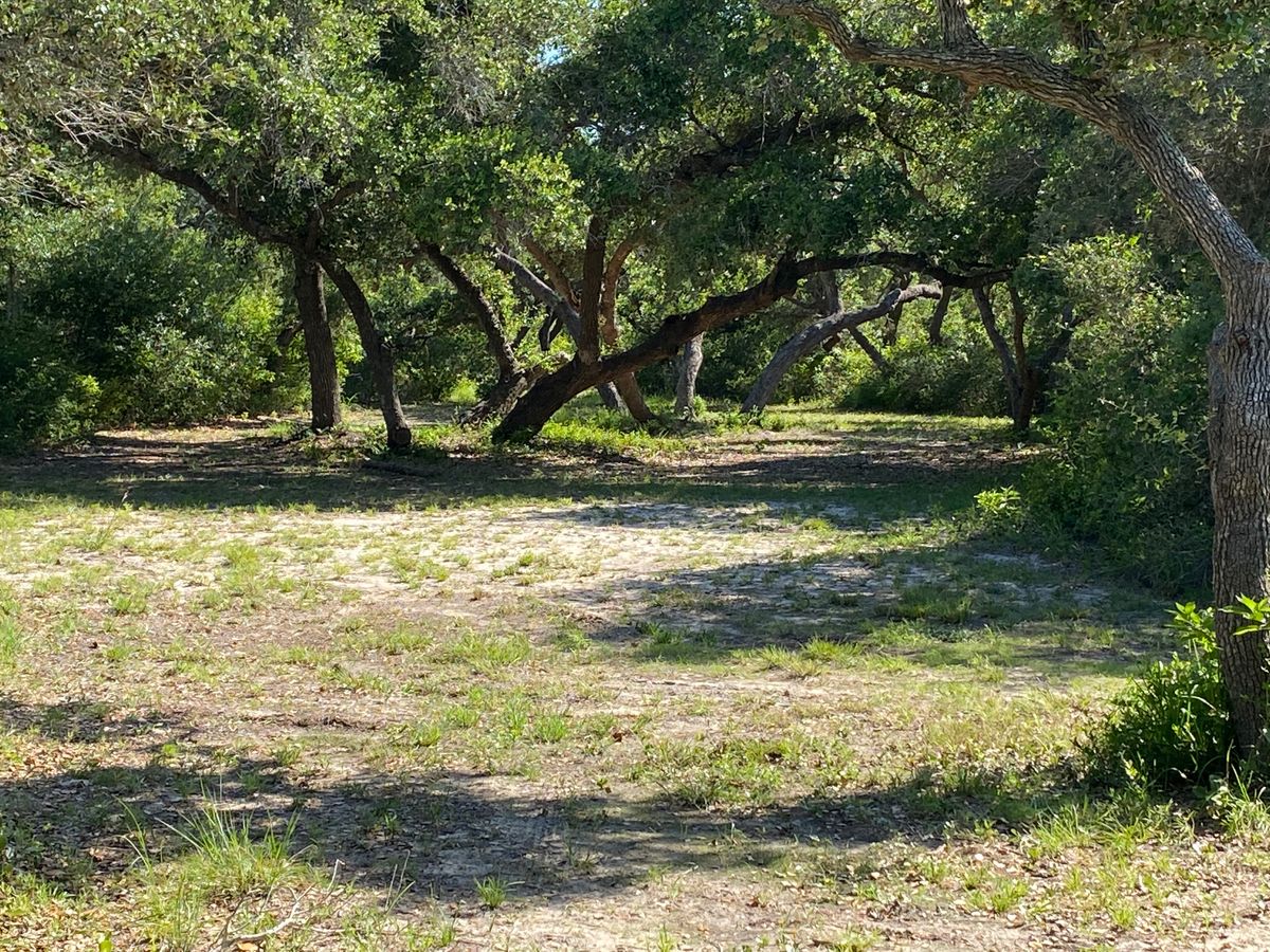 The fairway for hole 11