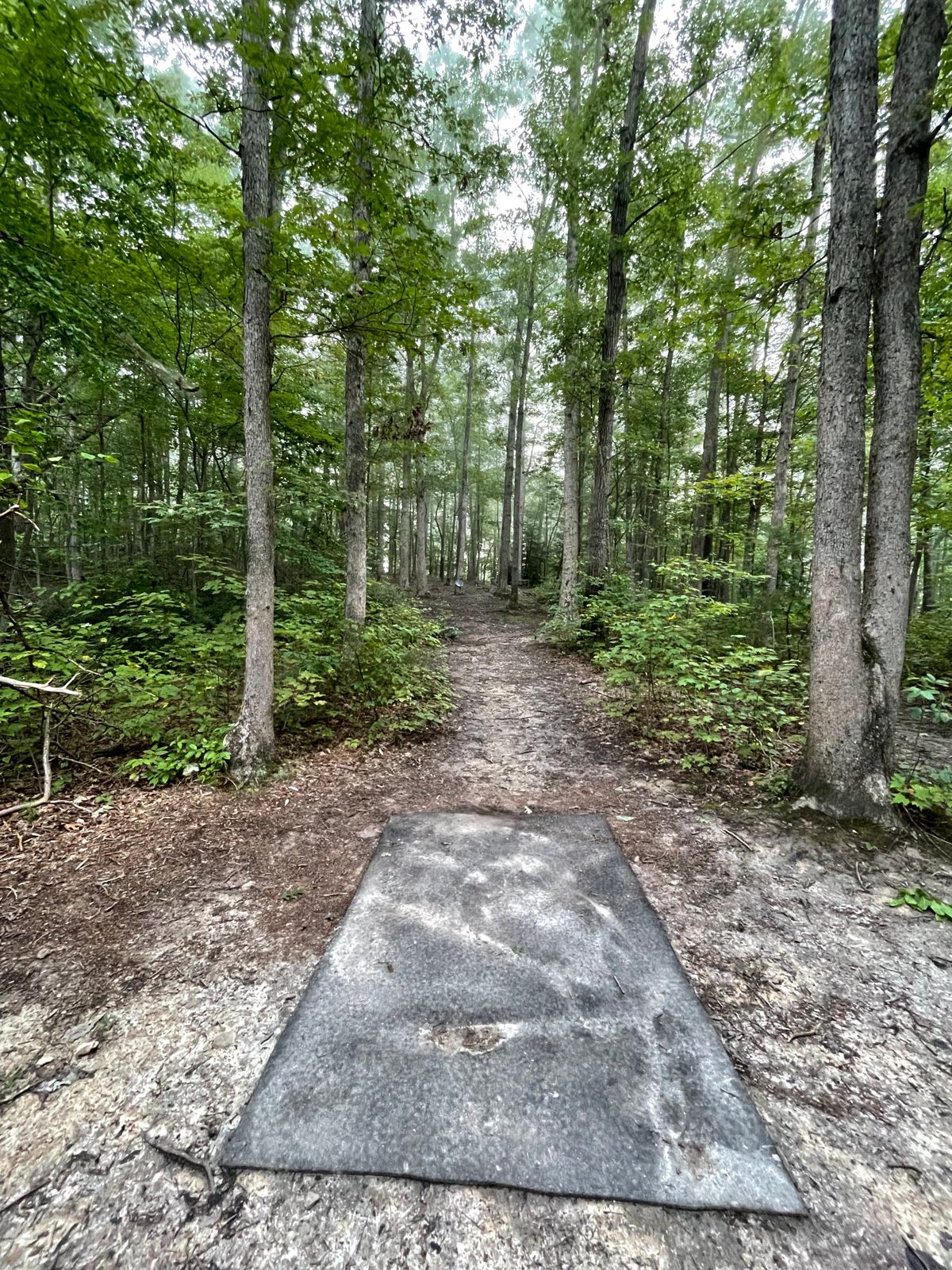 Hole 3 tee
