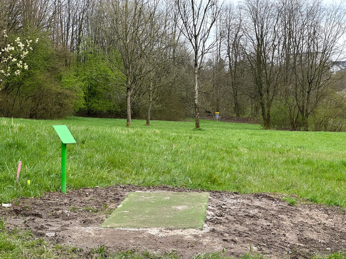 Tee 1