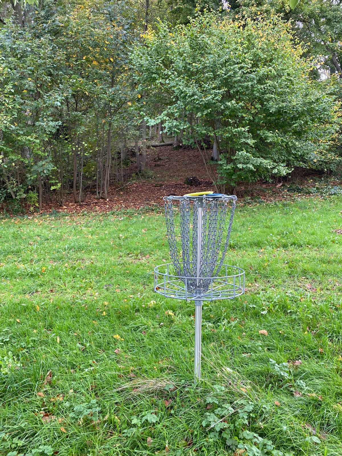 New dogleg Nr.12