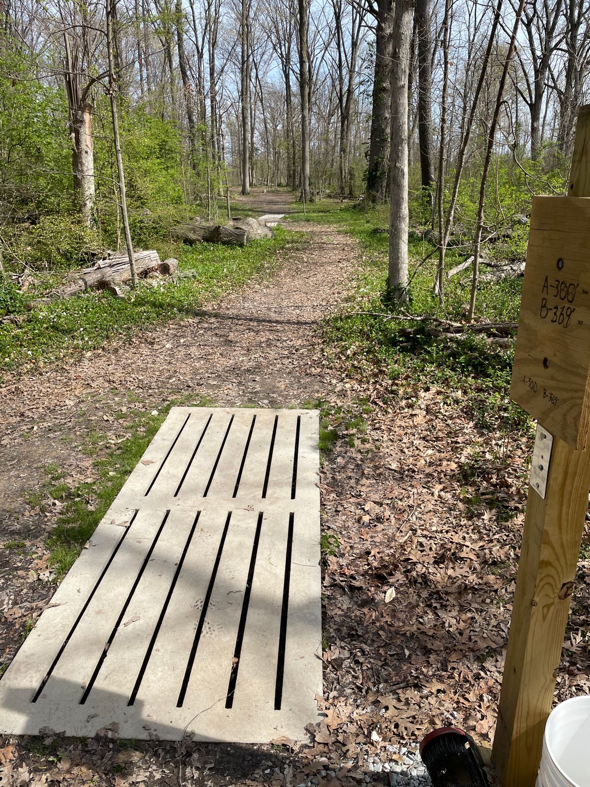 Hole 8
