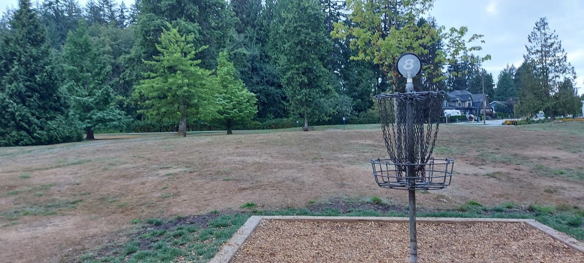 Reverse back up the fairway on hole 8.🌲🍁🌲🍁