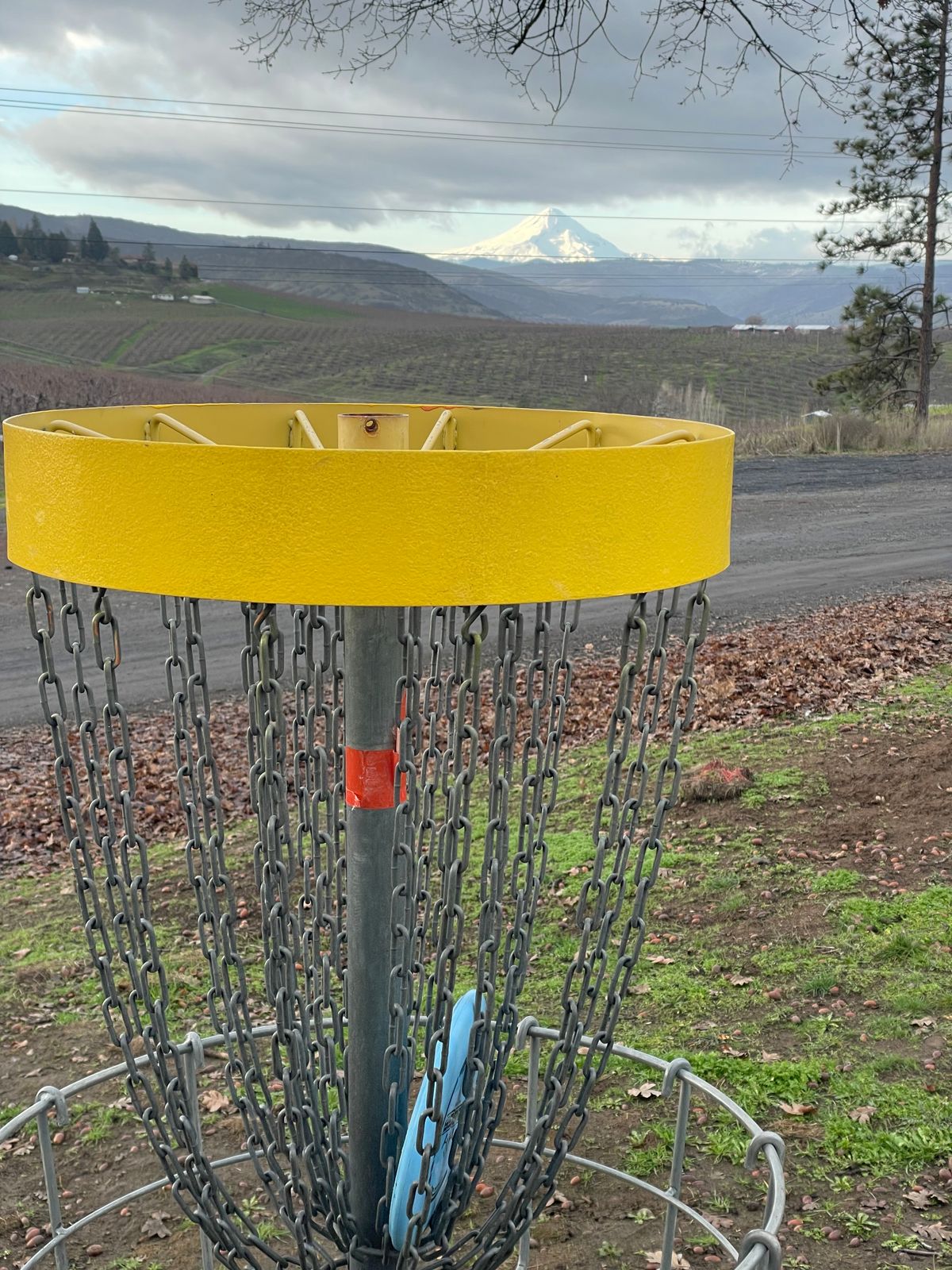 Basket 2