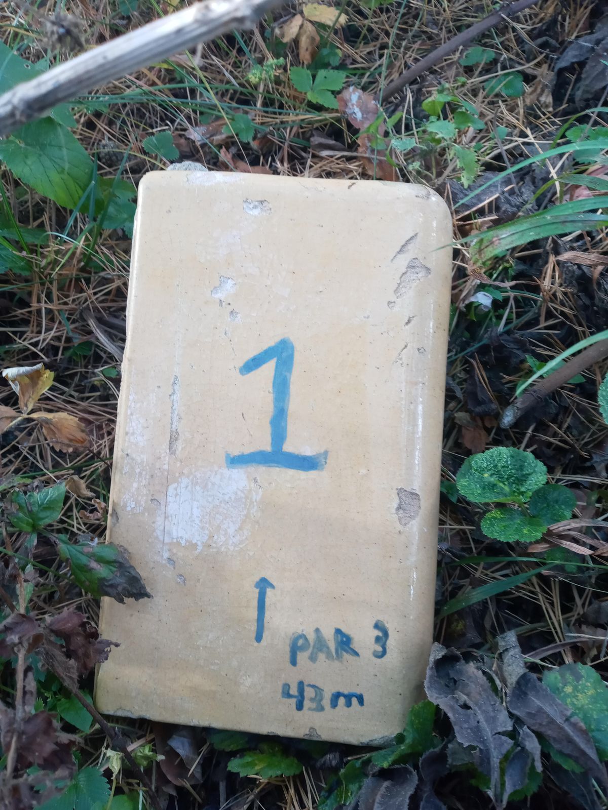 Hole 1 Tee Sign
