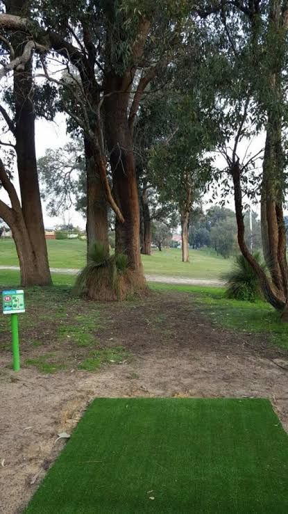 Hole 11 Tee