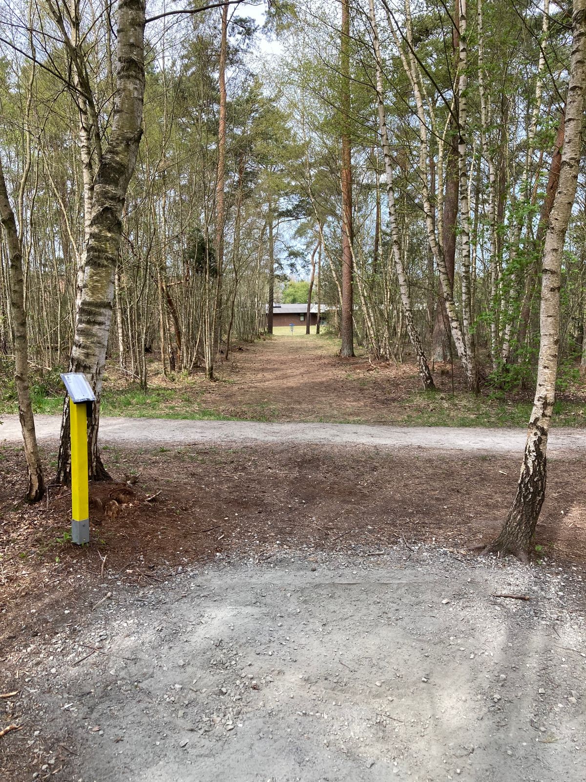 Tee 9