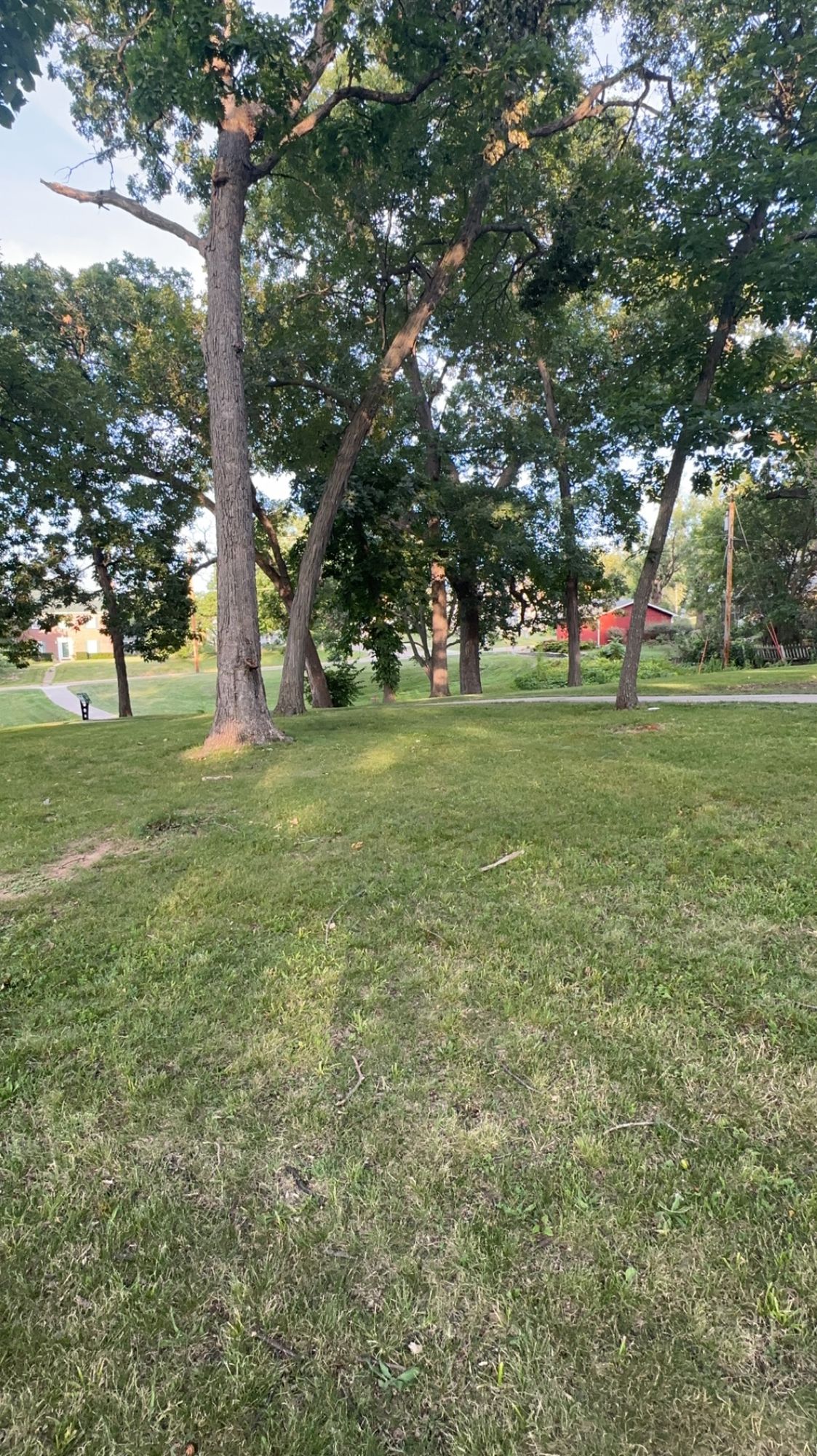 Hole 3 long fairway