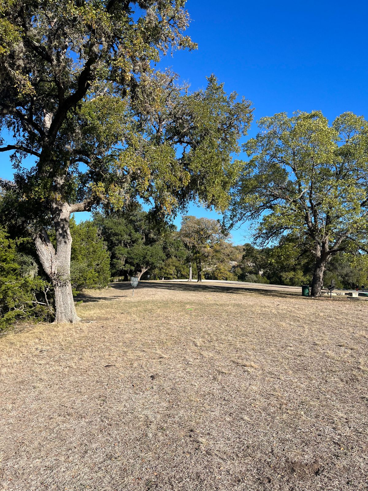 #2 tee