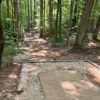 Hole 8 tee
