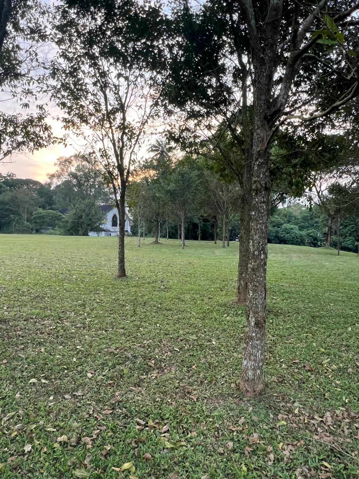Hole 17 from double mando - demanding a very specific shot shape to access the green from the tee.