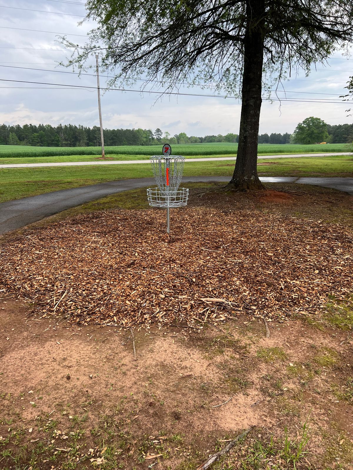 Hole 7 Basket.