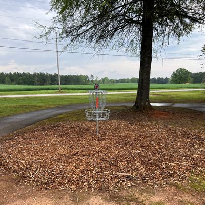 Hole 7 Basket.