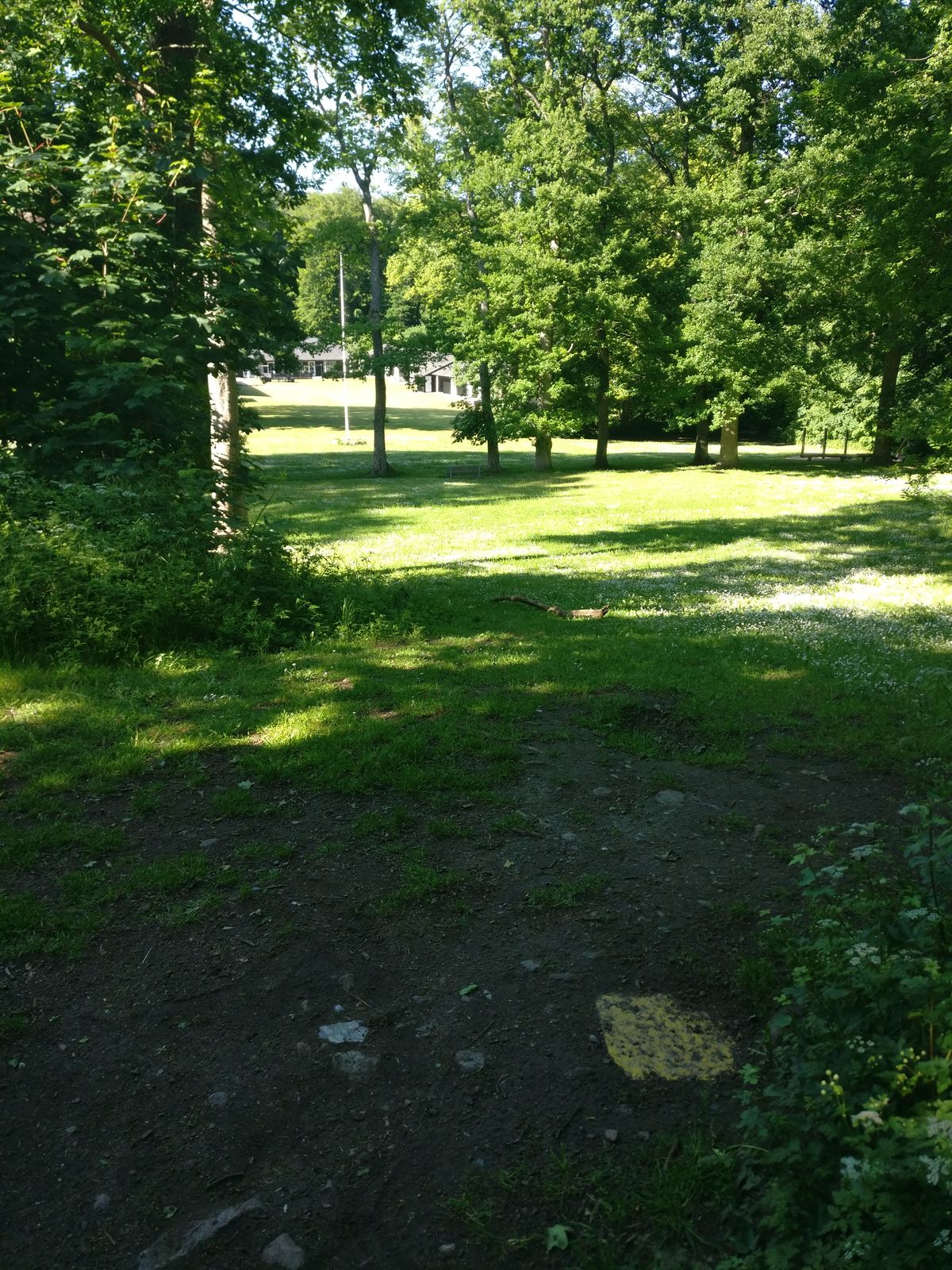 Hole 3