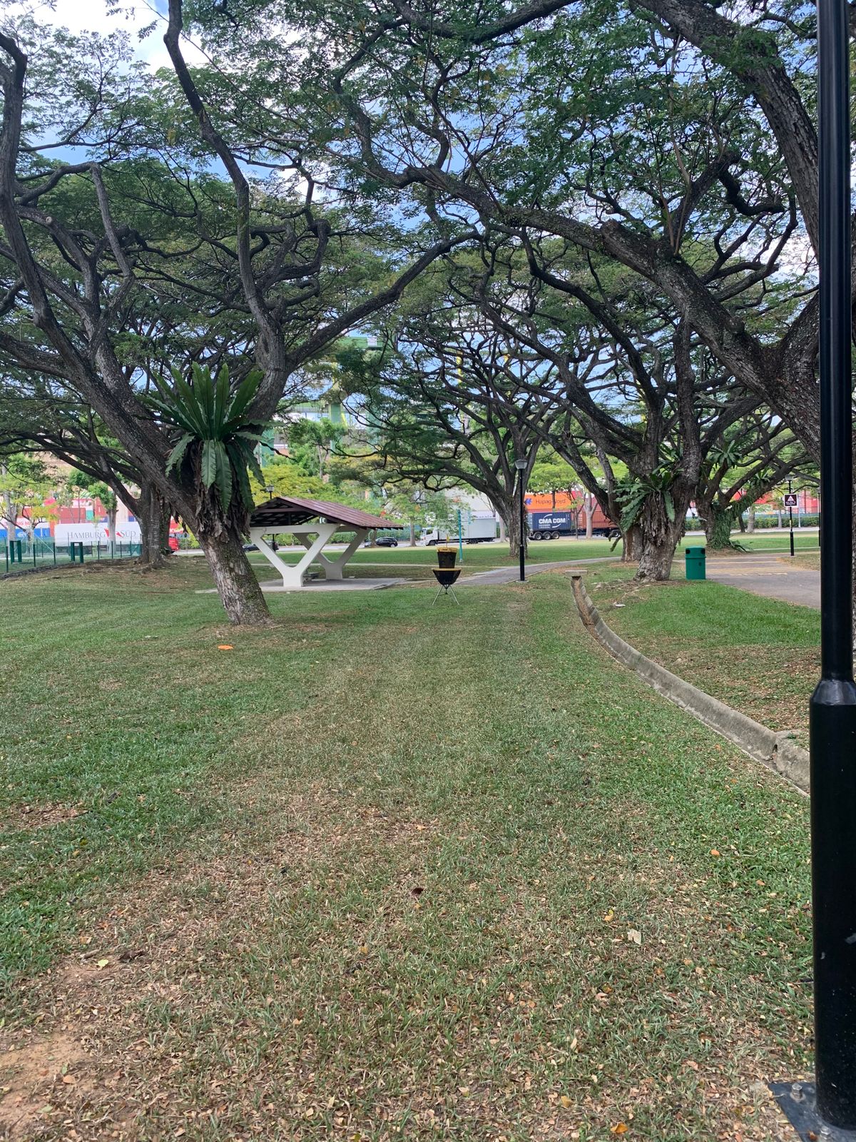 Hole 12 Basket