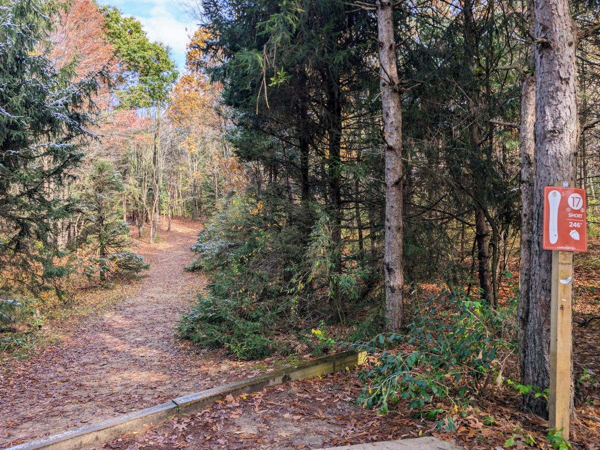 Hole 17 short tee