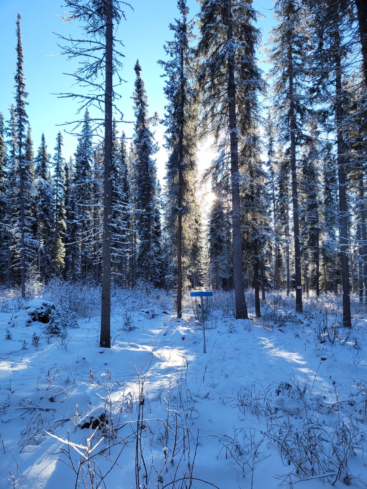 -20c on hole 4