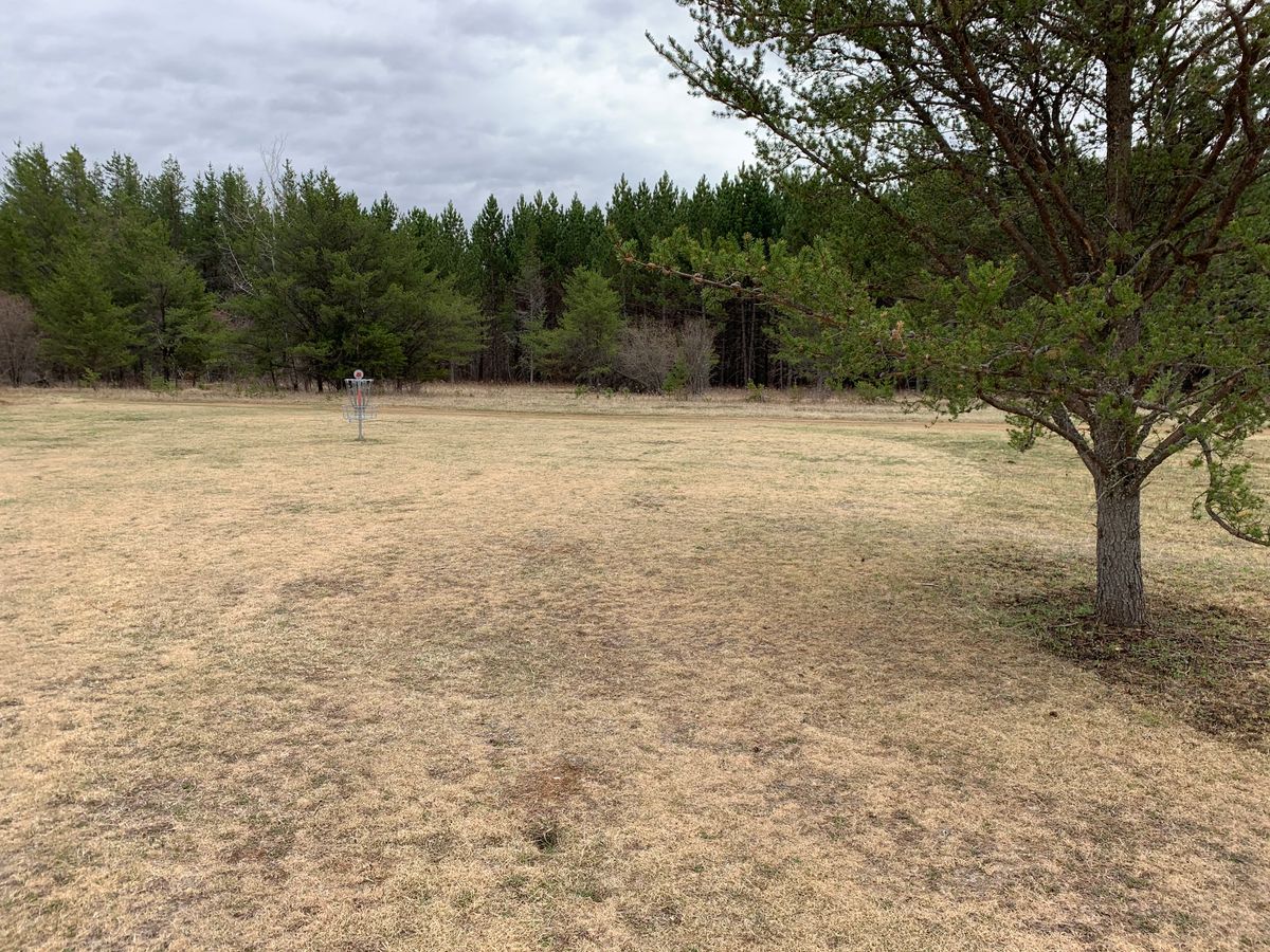 Hole 5 green
