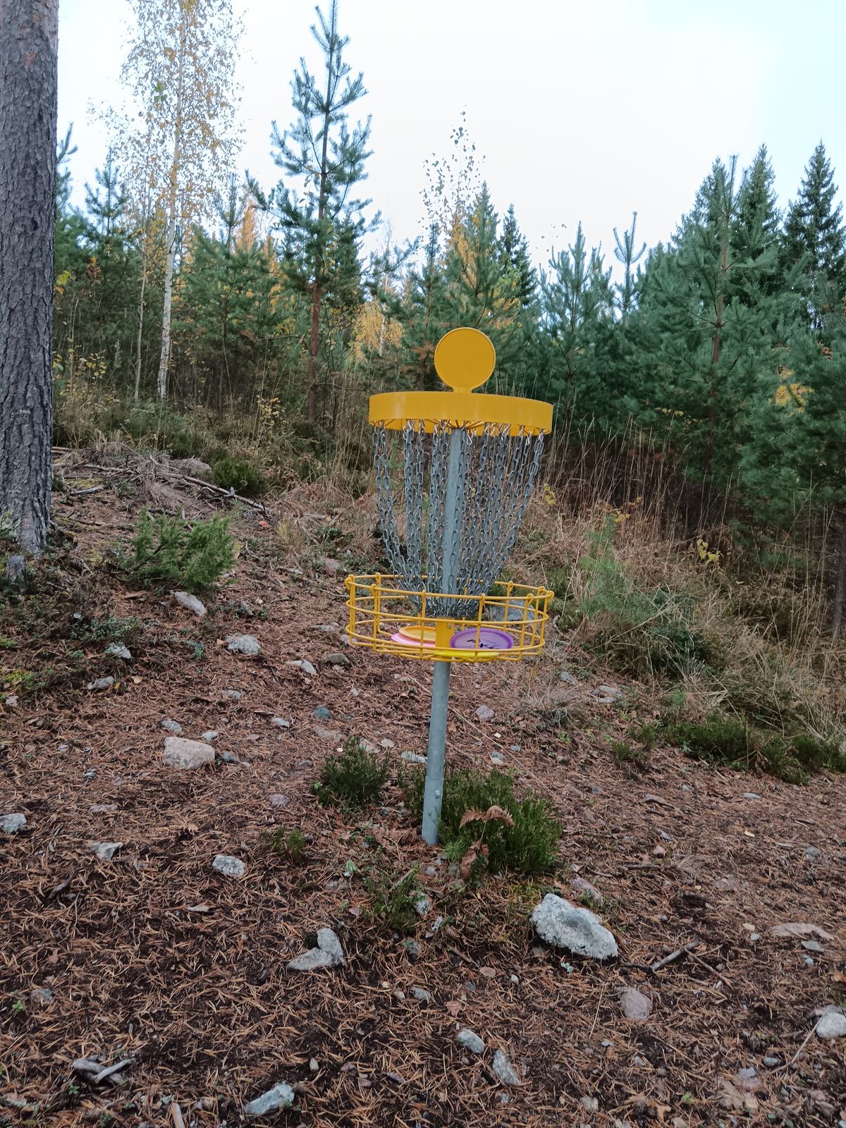 Korit hyvässä