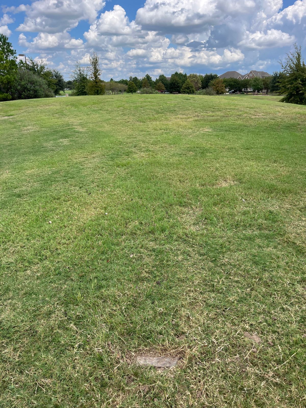 Hole #2. Skate park and sidewalk are OB.