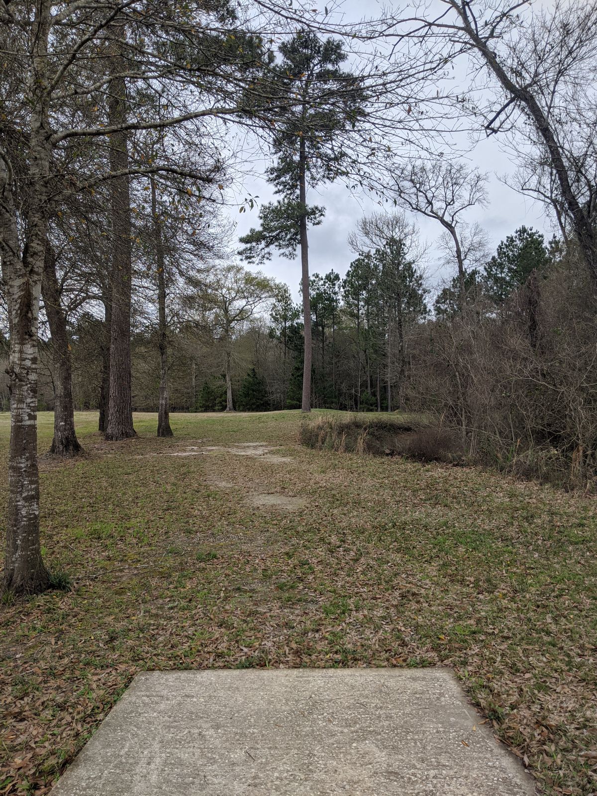 Hole 14 Short Tee