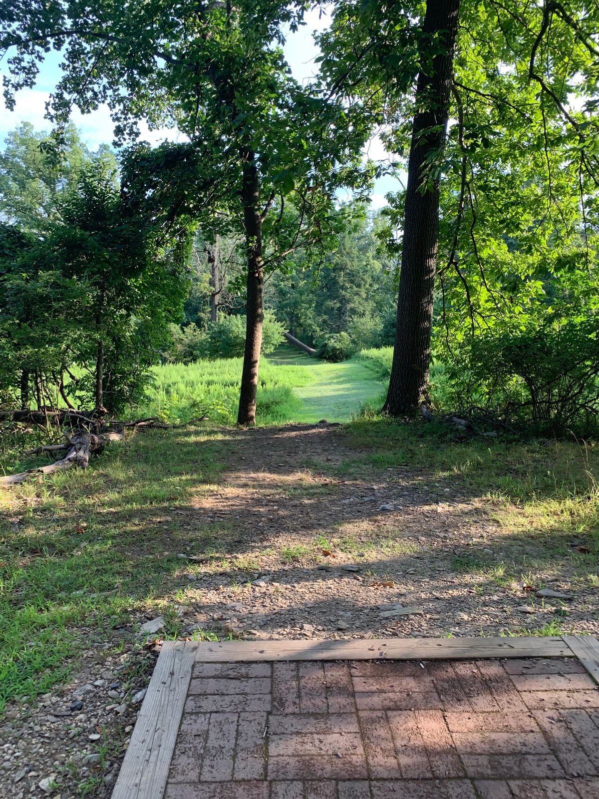 Hole 7