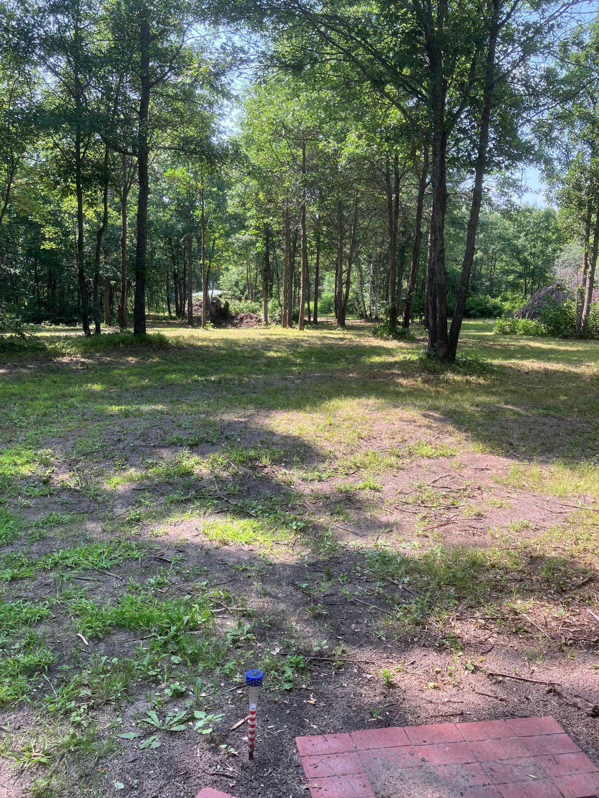 Tee 5 and fairway to elevated basket