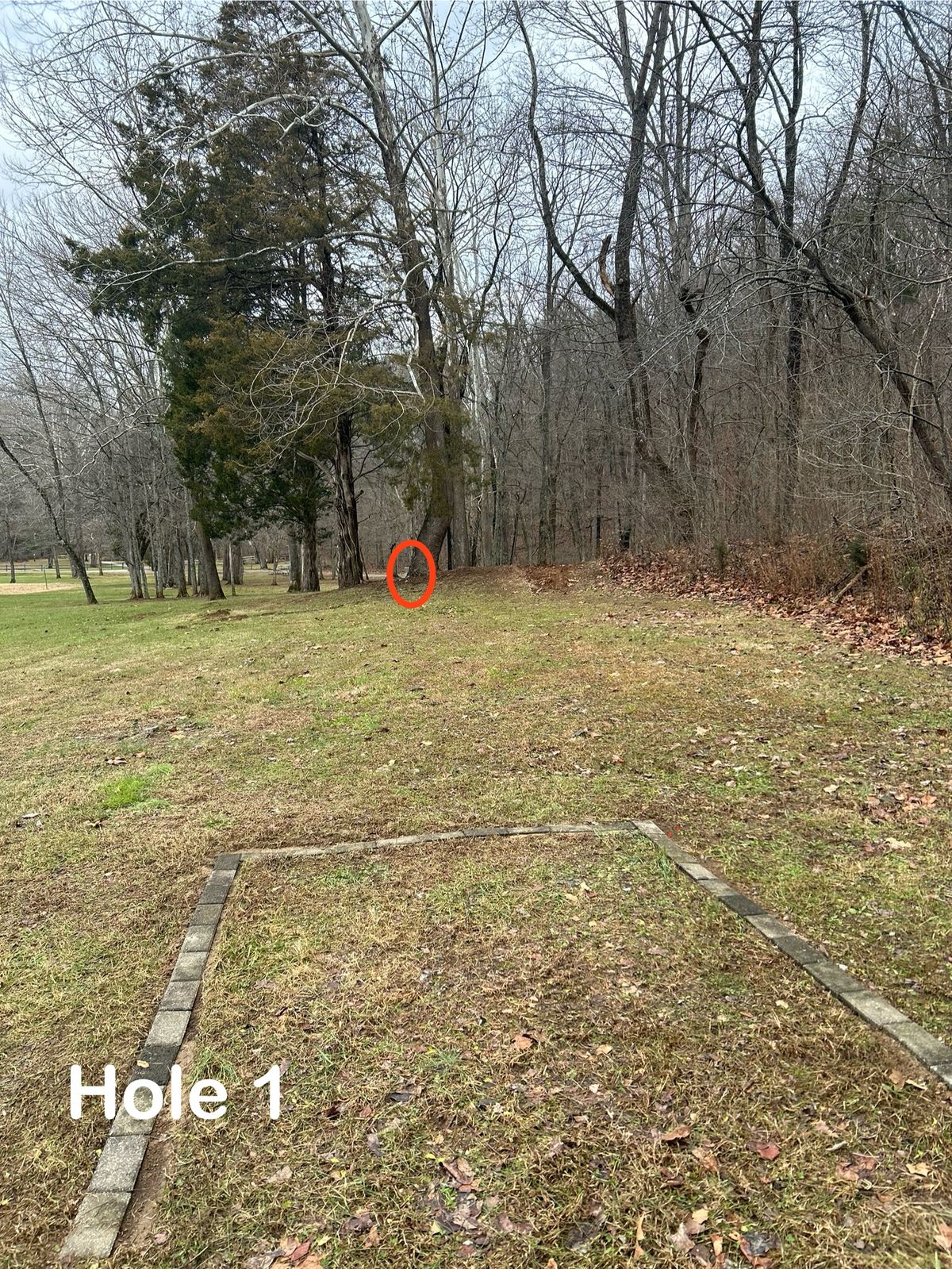 Hole 1