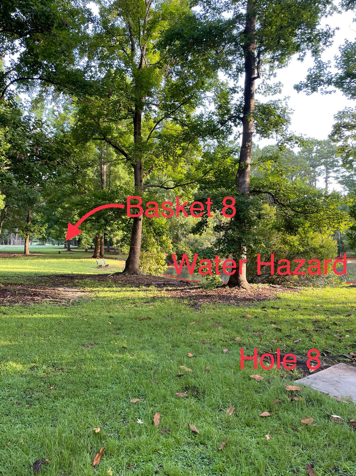Hole 8 - from the tee pad