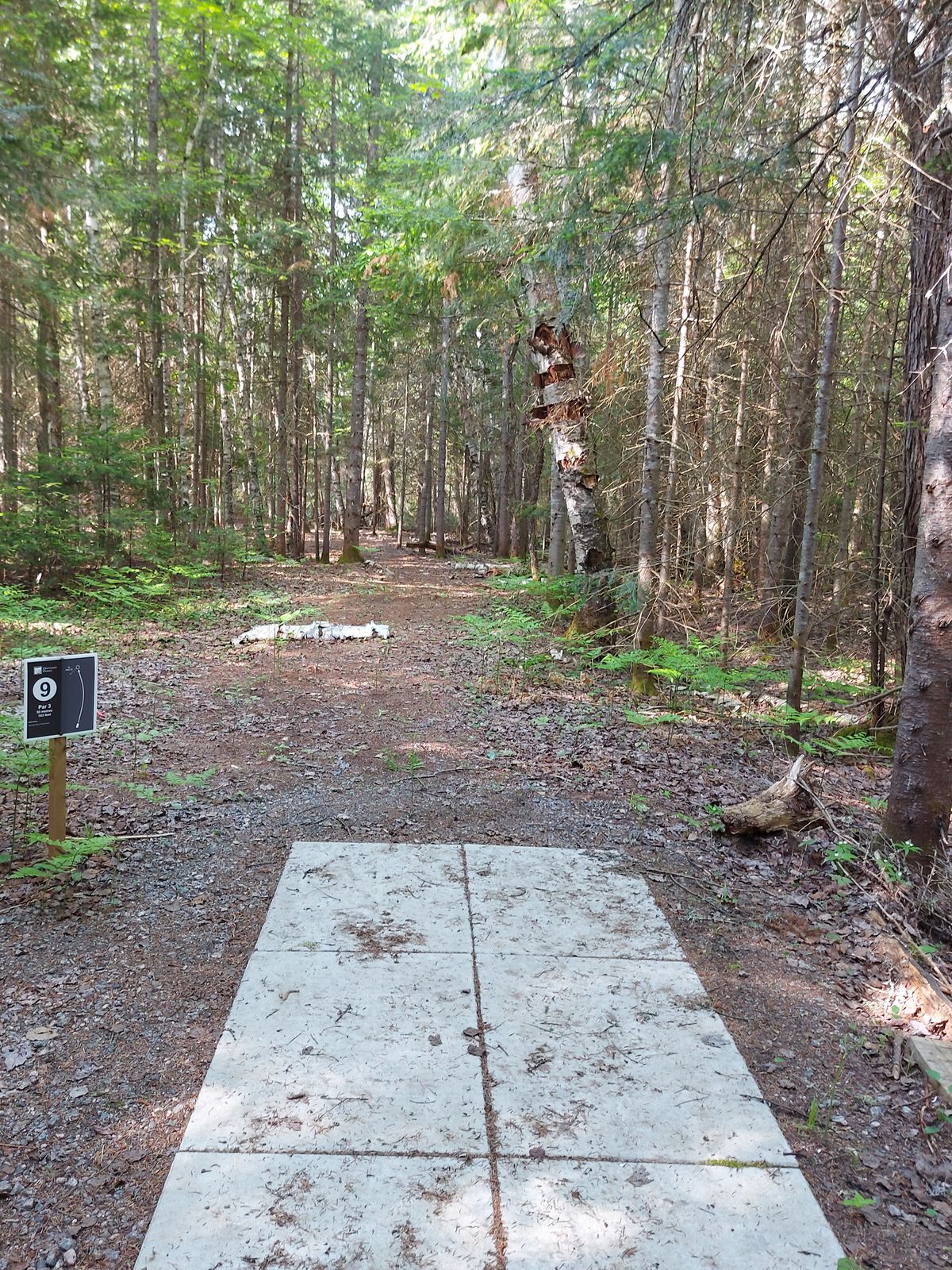 Tee pad 9 🍁🌲🍁🌲🍁🌲