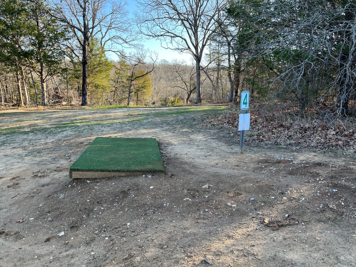 Hole 4, basket straight, downhill