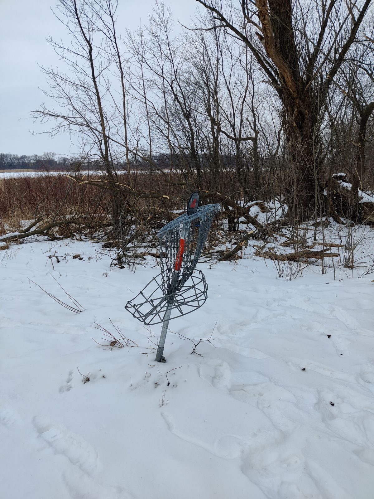 4 basket absolutely mangled :(