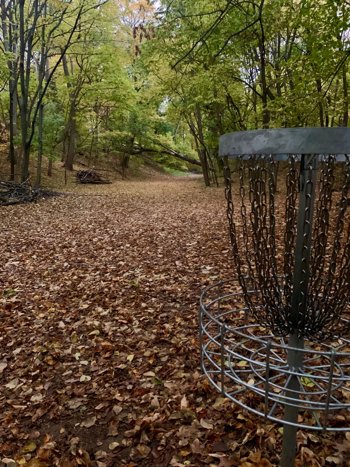 Hole 6 looking back