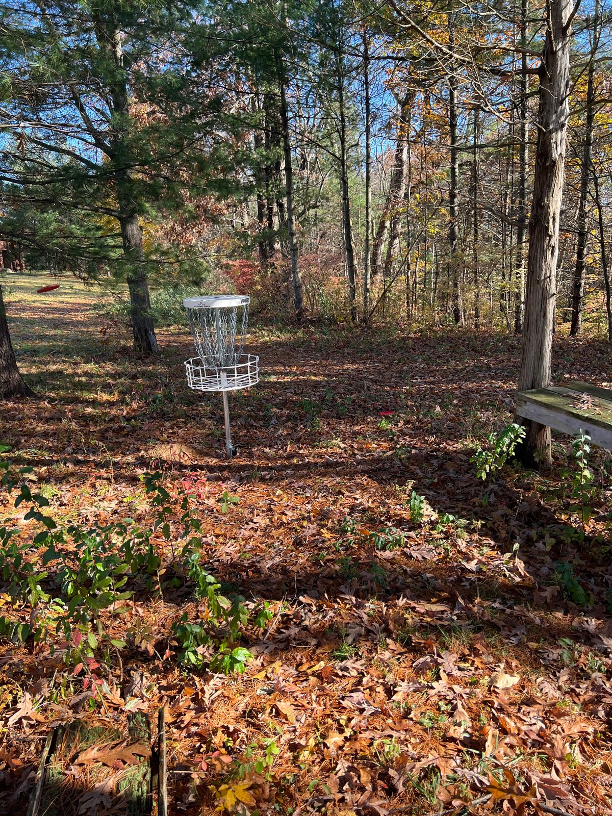 Hole 1 basket
