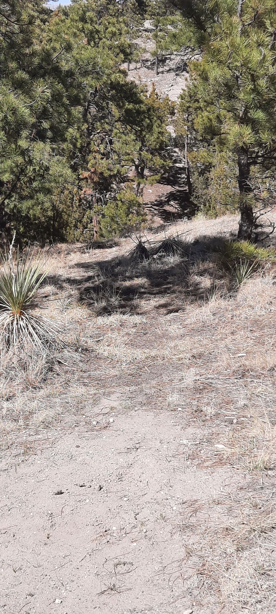 Hole 12 from tee
