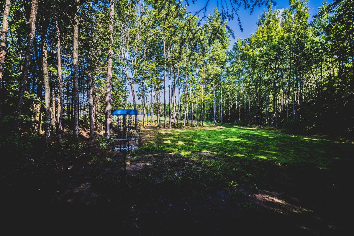 Hole 12 Basket looking towards tees. 