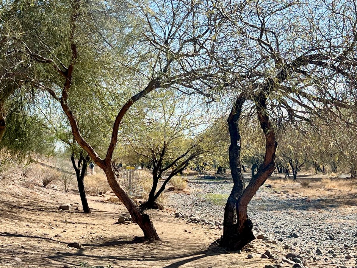 Hole 1