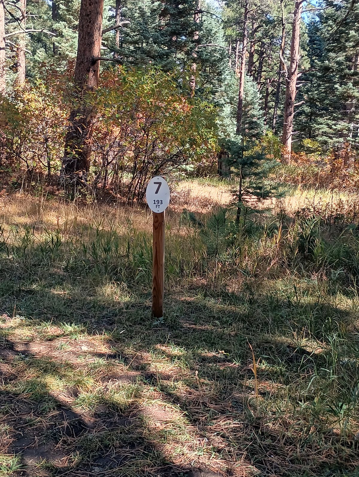 Hole 7 Tee