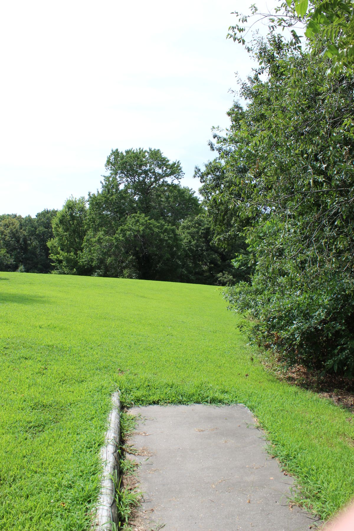 Hole 4 (Tee)