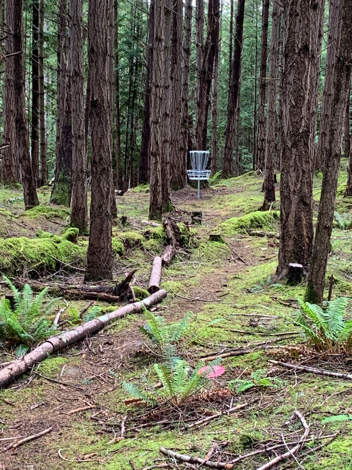 Hole 8
