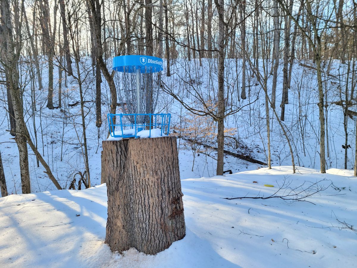 Snowy hole 9 basket