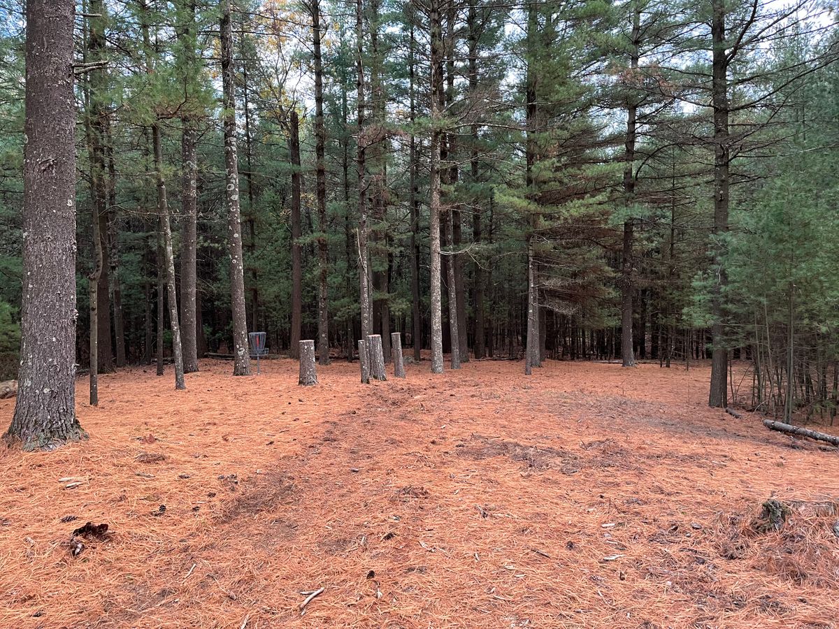 Approach to hole 2 B-basket.