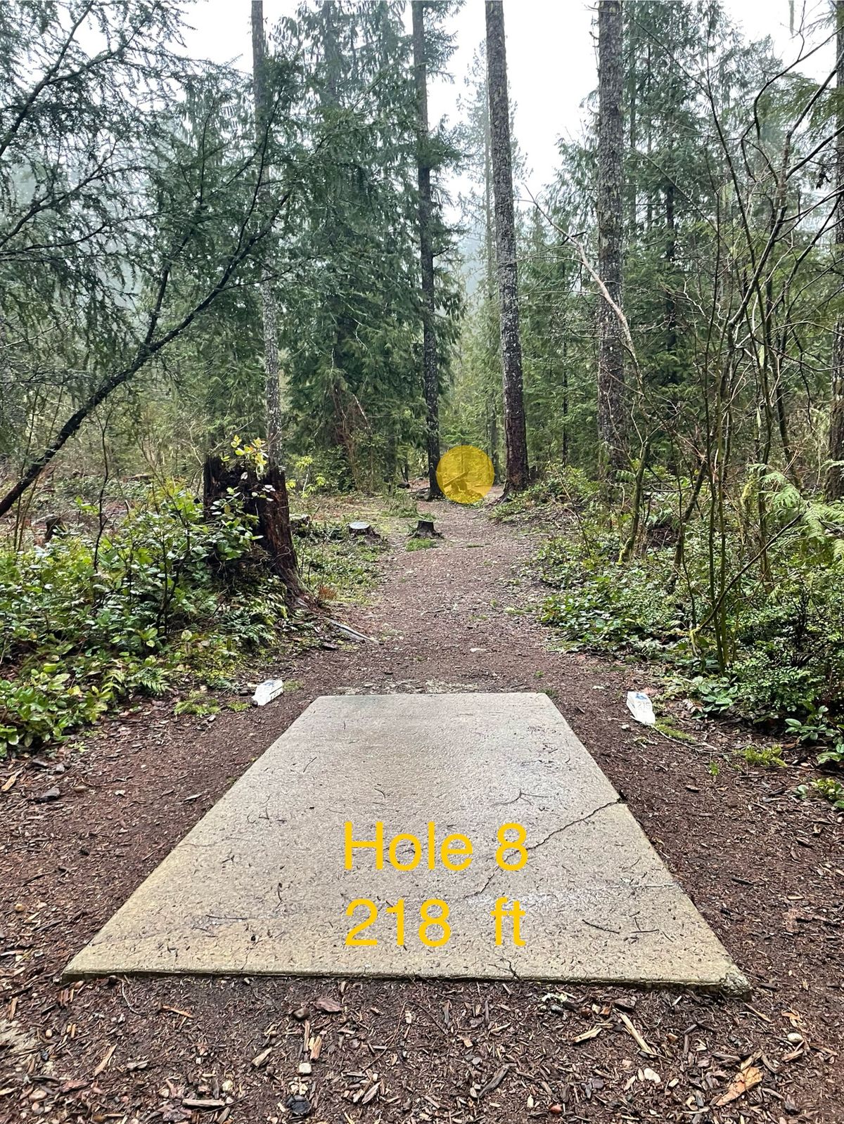 Hole 8