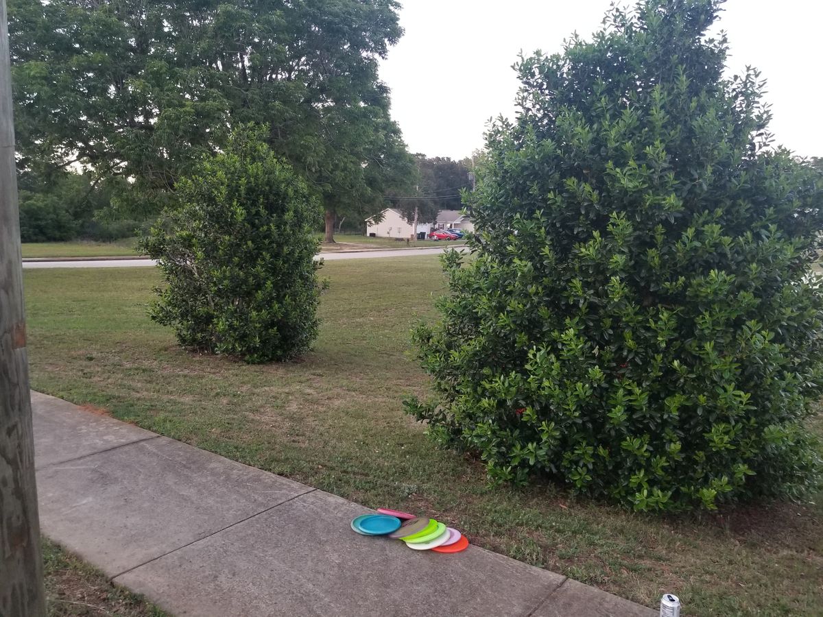 Hole 12 tee
