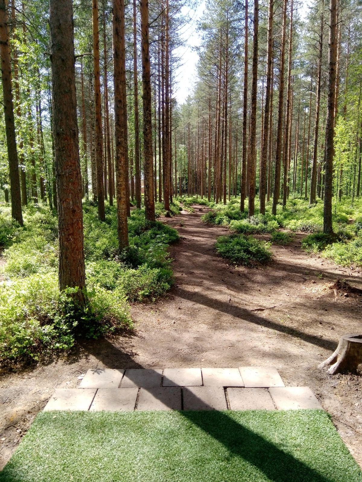 Hole #18 (8.6.2022).
