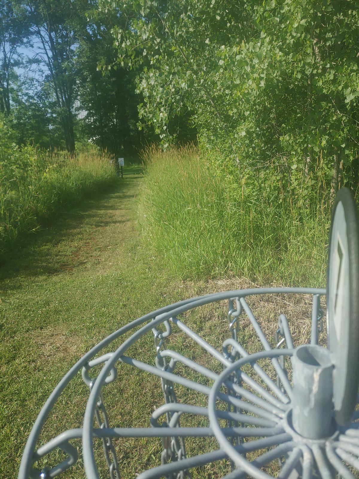 Hole 7
