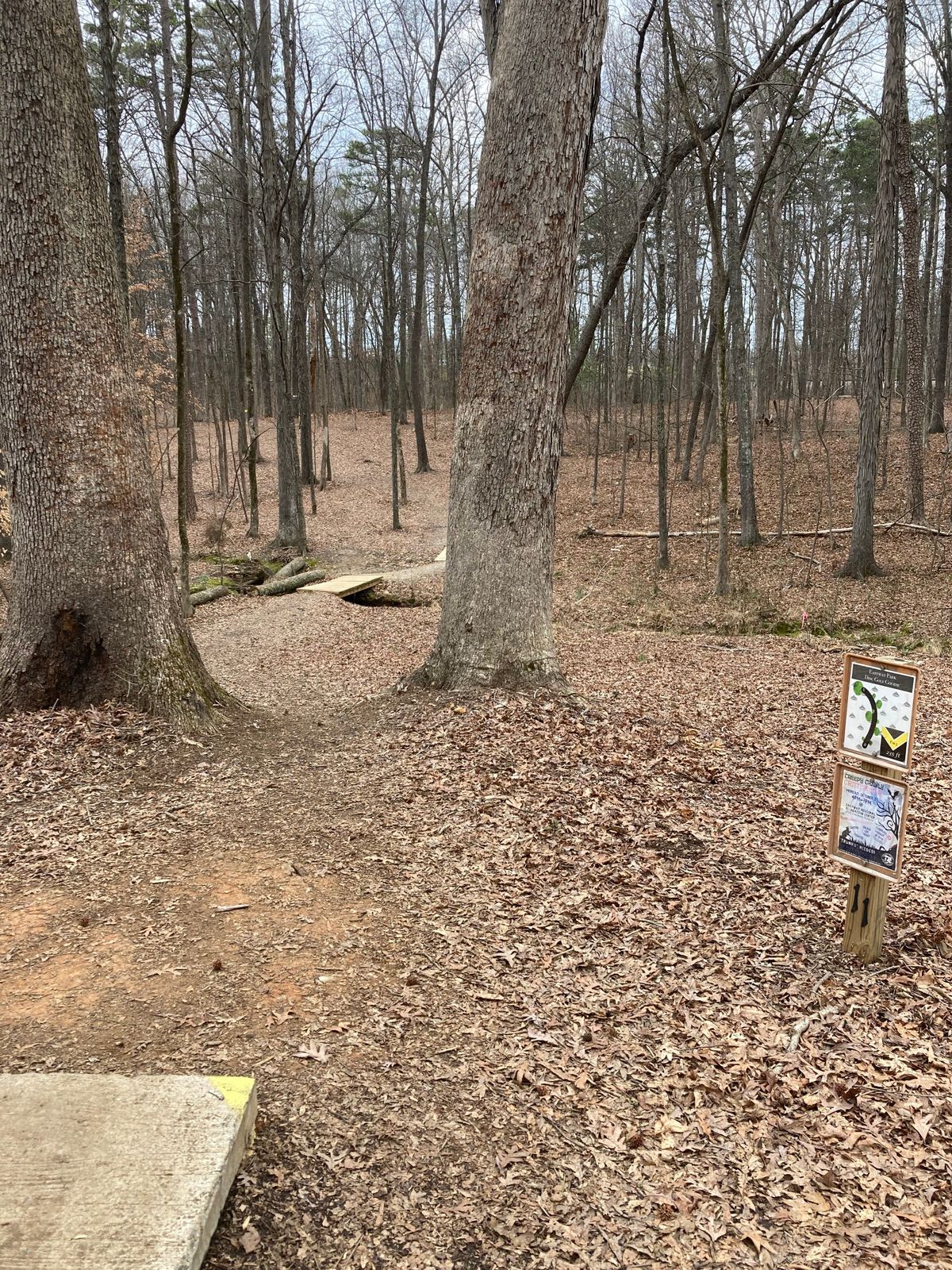 Hole 11. Basket up on the left