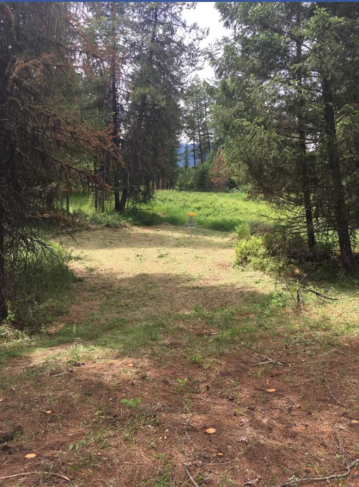 Hole 4 green