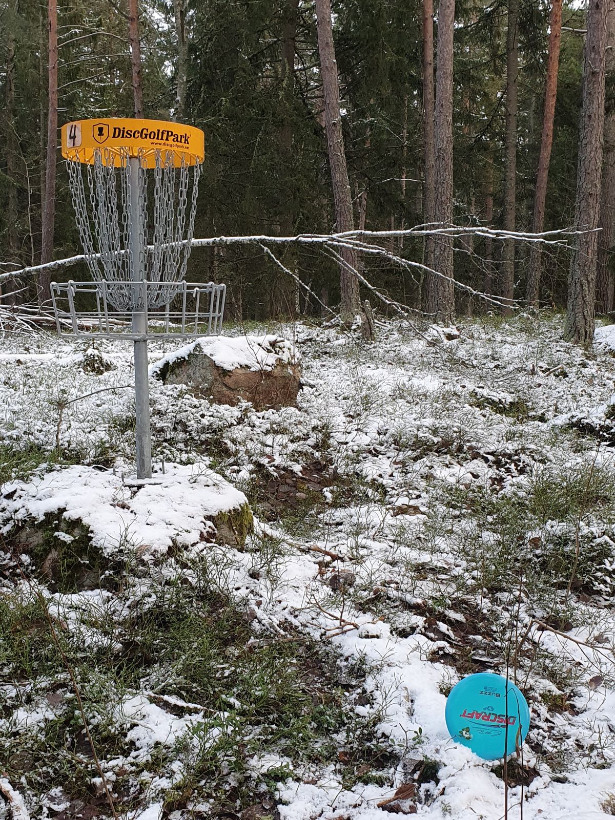 Fin landning för par-putt på #8