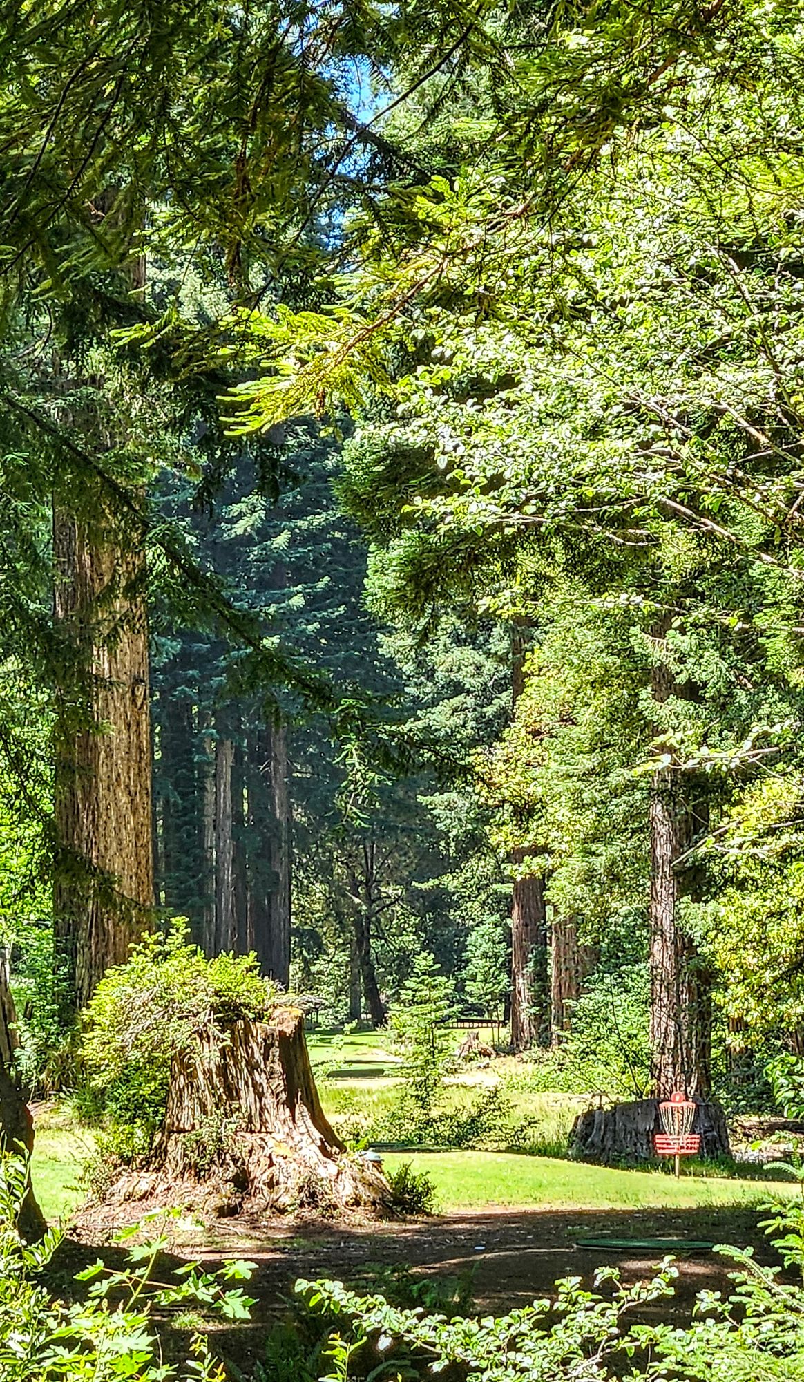 Hole 1