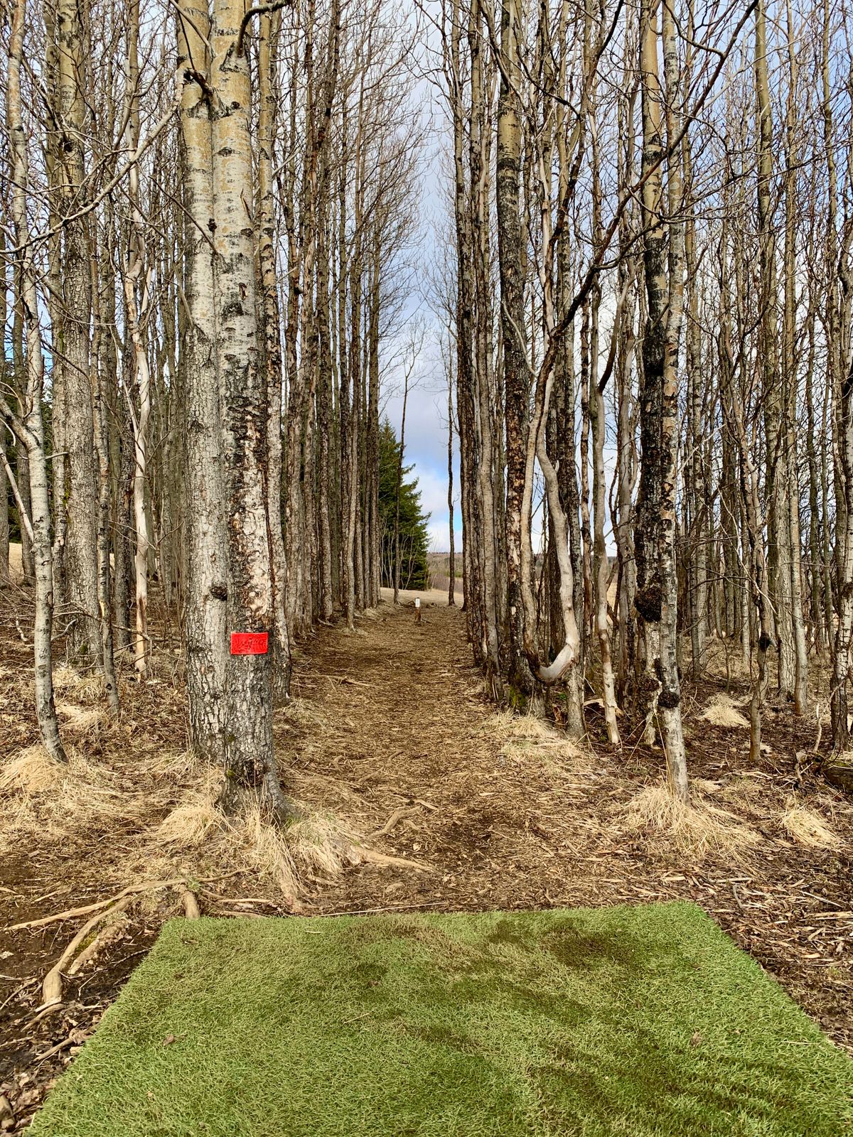 Fairway hole 7 ..no kidding 😳